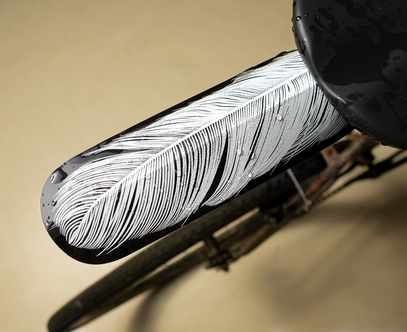 ASR Feather - Image 4